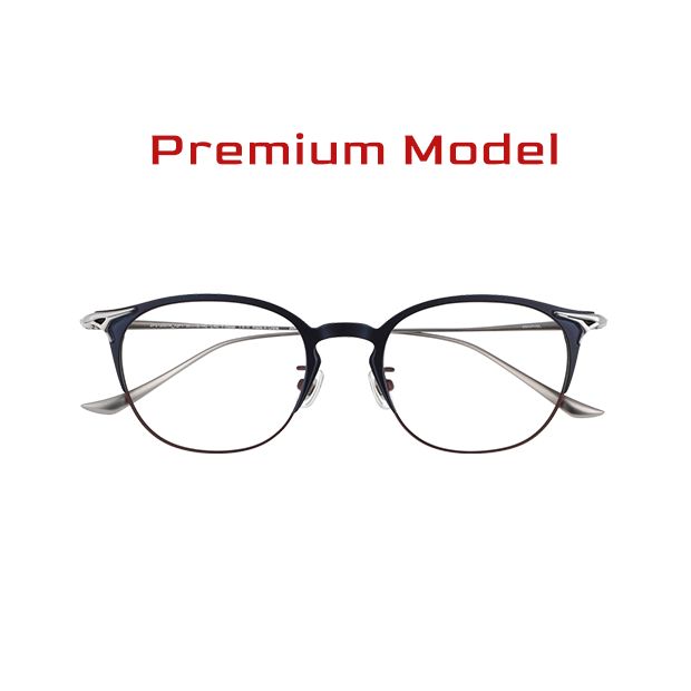 Premium Model